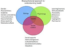 Biopsychosocial Population Health Policy Proposal