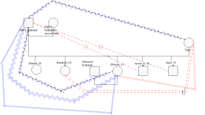 NRNP 6645 Family Assessment and Psychotherapeutic Approaches Paper