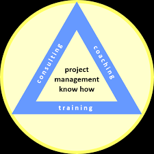 Termination in Project Management Paper