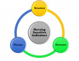 Nursing Sensitive Quality Indicators Speech Paper