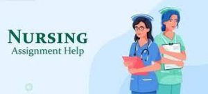 NUR 513 Week 2 Nursing Role Graphic Organizer Assignment
