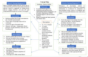 NURS FPX6011 SimmonsC Assessment 1 Evidence-Based Patient-Centered Concept Map